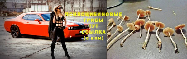 молекула духа Корсаков