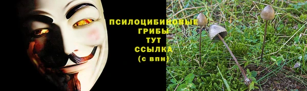 а пвп мука Костерёво