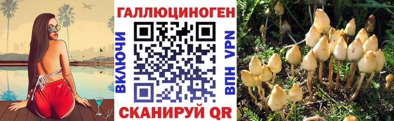 Галлюциногенные грибы GOLDEN TEACHER  Купить где  Севск 