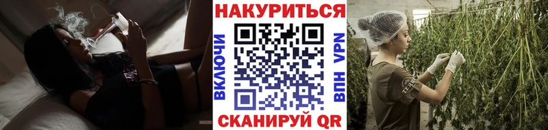 Шишки марихуана конопля  Купить  Севск 